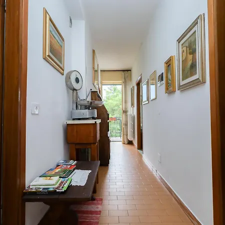 Housecurti1 索里科